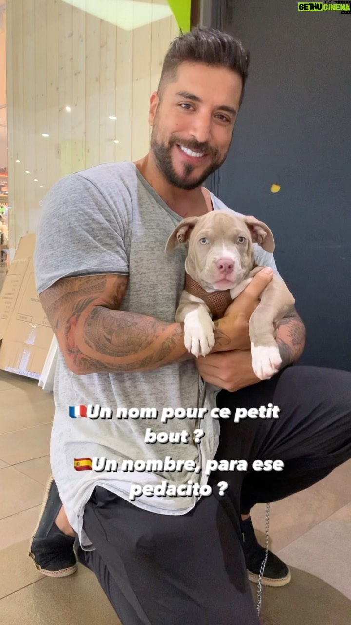 Alain Rocben - 5.4K Likes - 🇫🇷Comment appellerais-tu ce trésor ?
🇪🇸Como llamarias esa preciosidad ?
#dogsofinstagram #dogpeoplearedope #dogoftheday #doglove #dogs_of_instagram #alainrocben