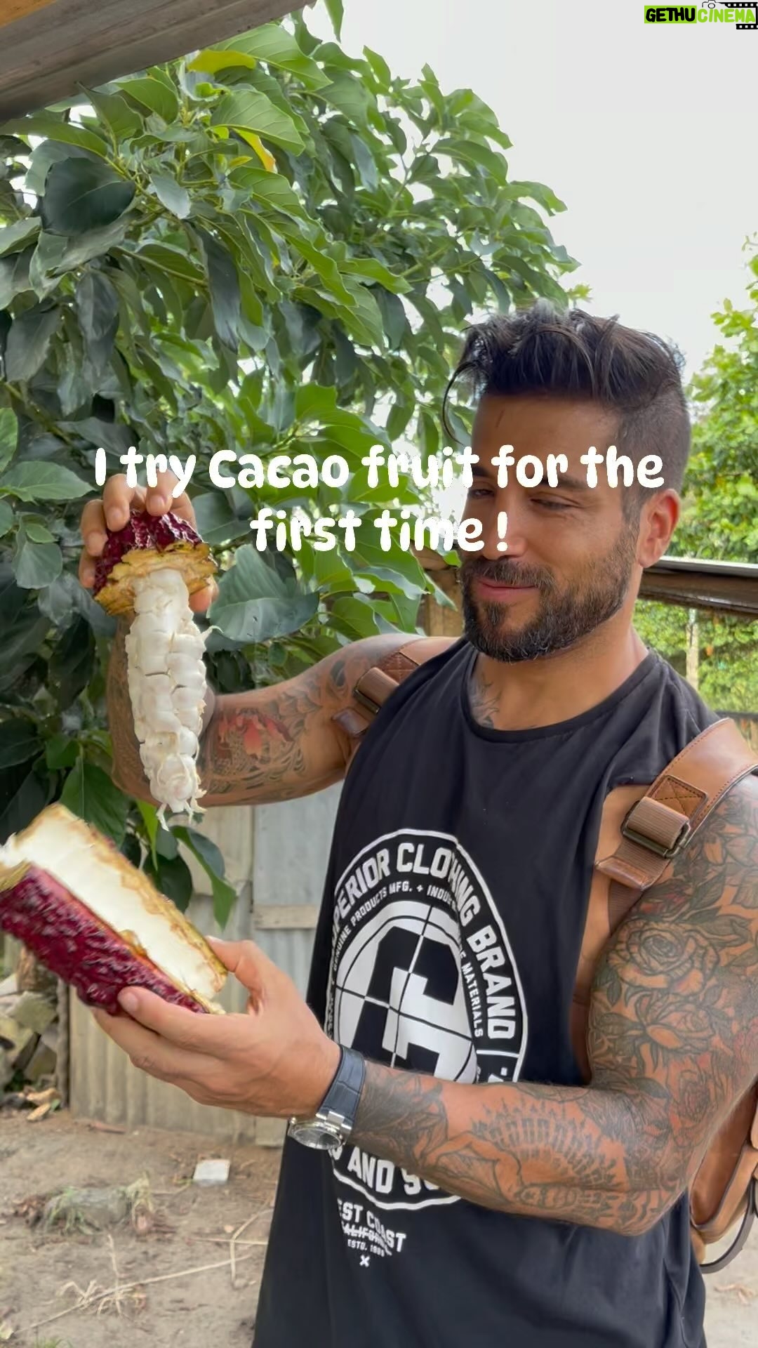 Alain Rocben Instagram - Pour la première foi je goute le fruit du cacao ! Un vrai délice à la foi sucré et légèrement acide. Un grand merci à mes amis de @hotelcampestrelaaldea pour avoir organiser ce tour ! #cacao #cacaofruit #cacaopuro #cacaolove #colombia🇨🇴 #alainrocben