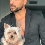 Alain Rocben Instagram - #reelsinstagram #reel #reelsvideo #reelvideo #yorkiesofinstagram #yorkie #yorkshireterrier #alainrocben
