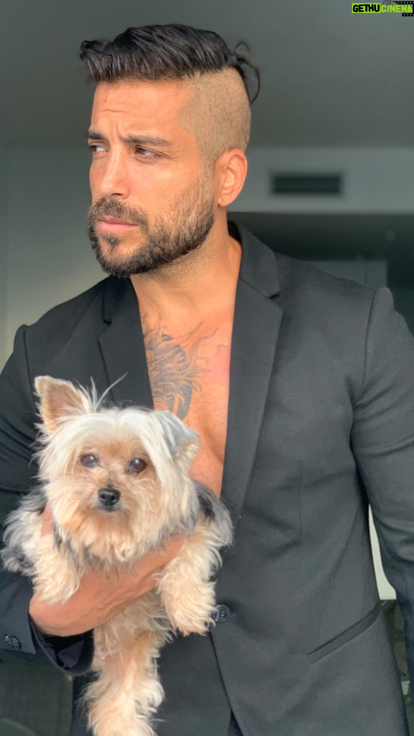 Alain Rocben - 3 Likes - #reelsinstagram
#reel
#reelsvideo
#reelvideo
#yorkiesofinstagram
#yorkie
#yorkshireterrier
#alainrocben