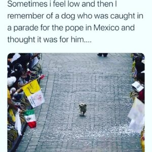 Alana de la Garza Instagram - Love this! Happy Tuesday! ❤️