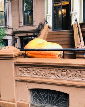 Alana de la Garza Instagram - Who says things in NY are always tiny? #Pumpkin #AintMessin