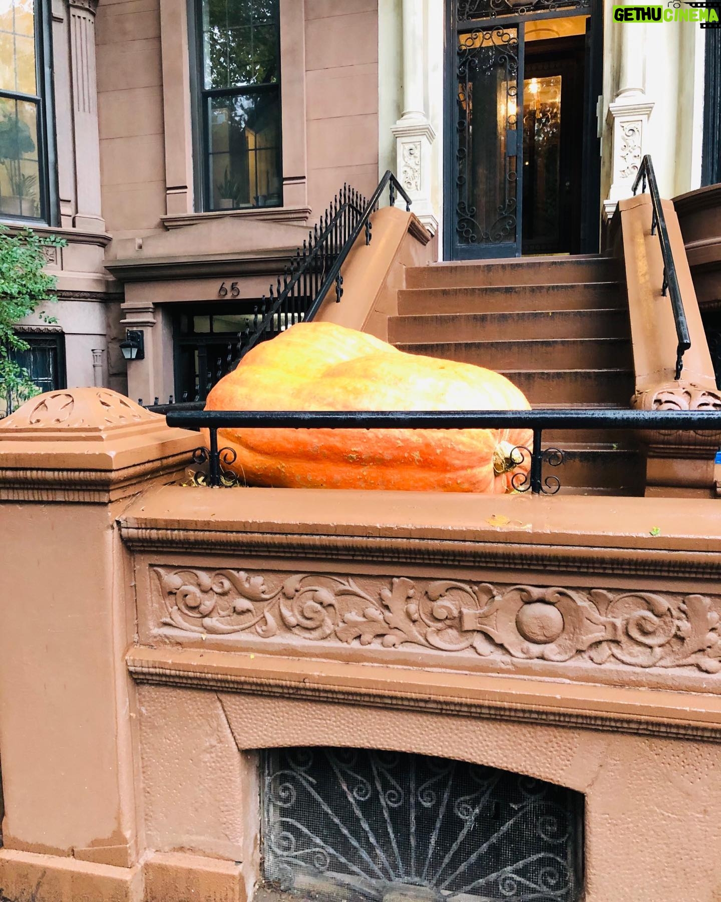 Alana de la Garza - 1.3K Likes - Who says things in NY are always tiny? #Pumpkin #AintMessin
