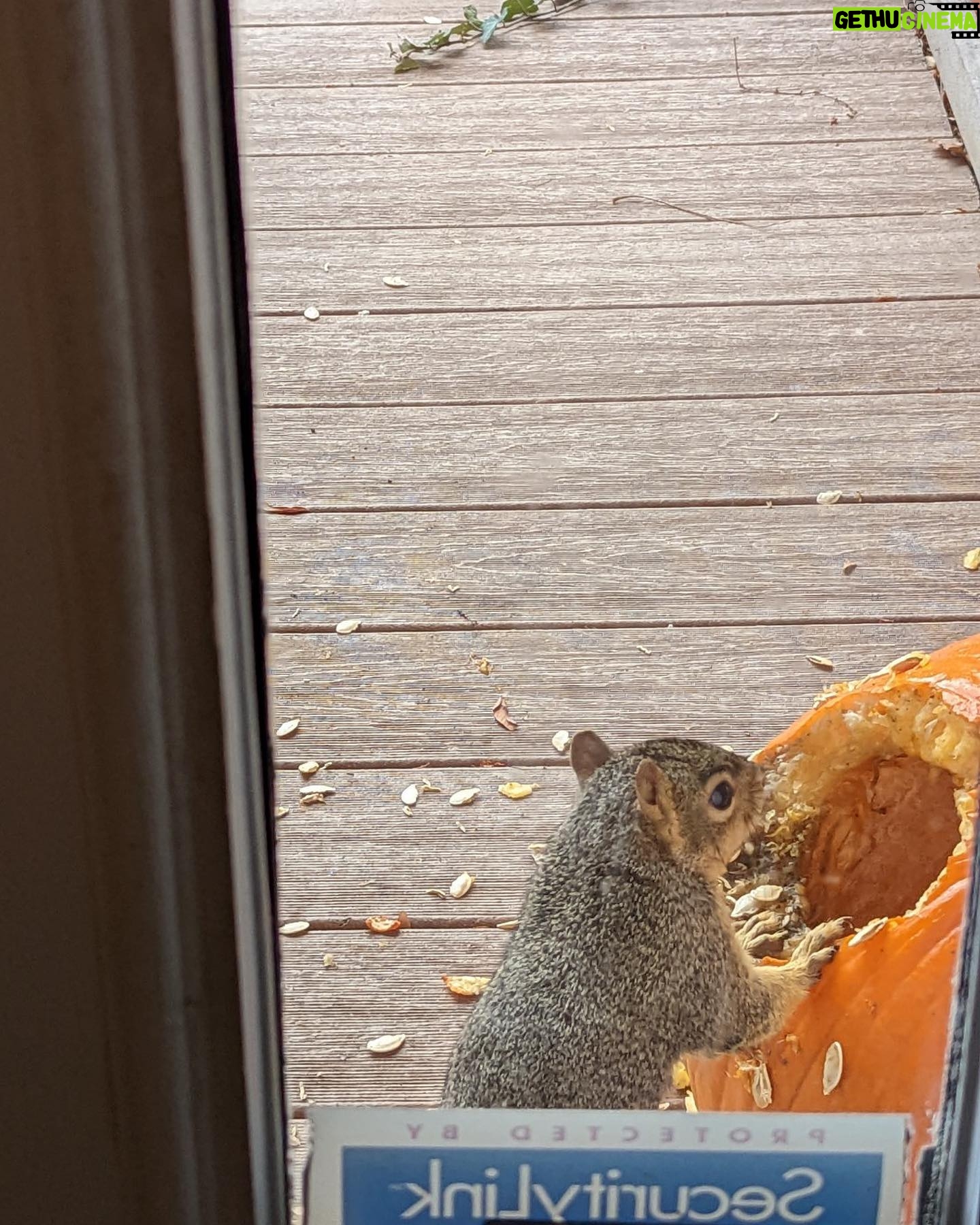 Alanna Ubach - 1.6K Likes - 🐿️🐿️🐿️
