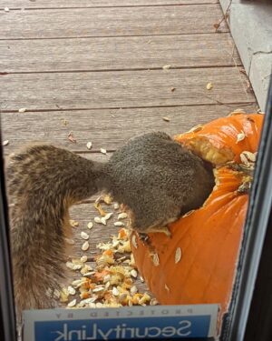 Alanna Ubach Instagram - 🐿️🐿️🐿️