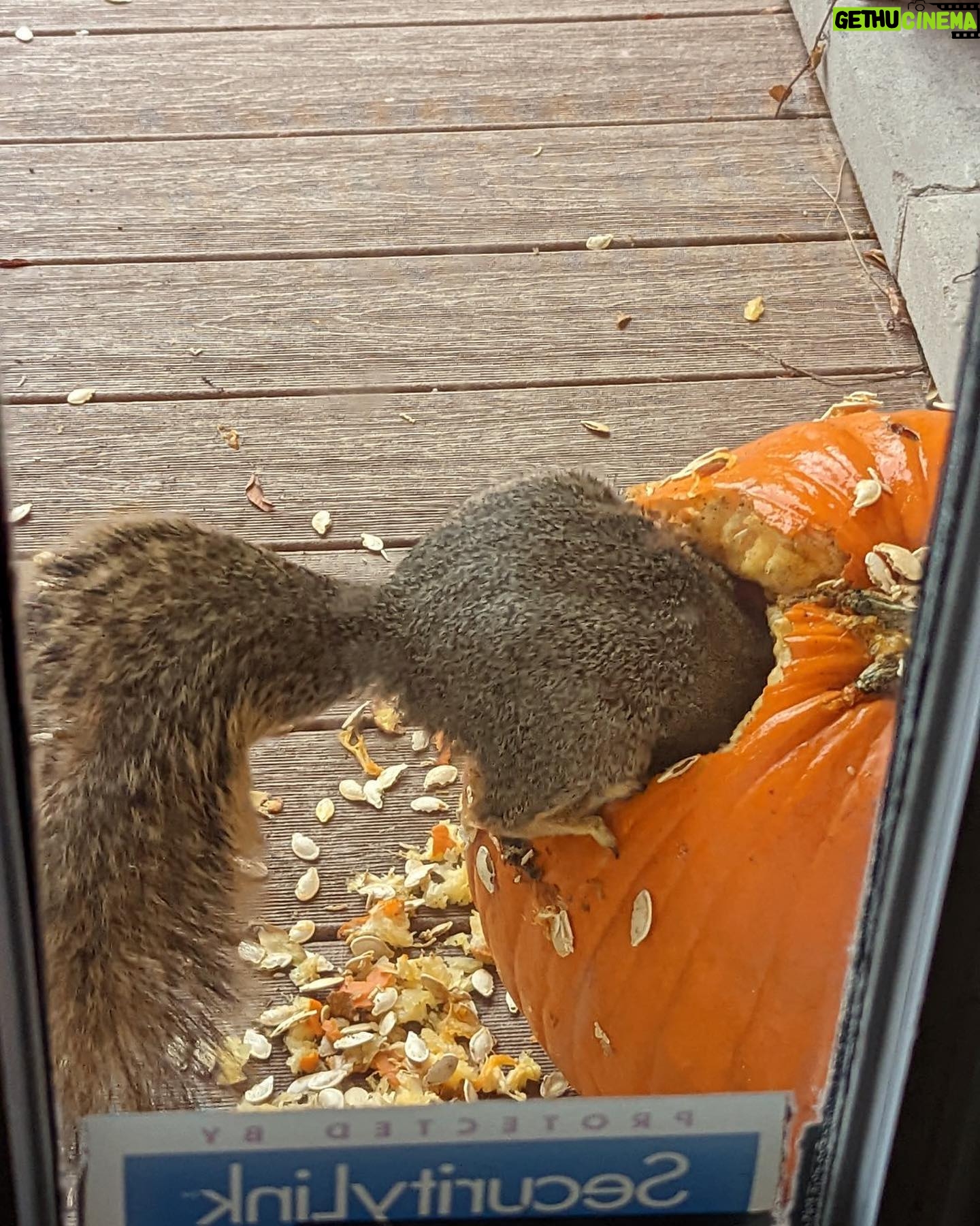 Alanna Ubach - 1.6K Likes - 🐿️🐿️🐿️