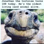 Alanna Ubach Instagram - AAAAAAAAAAAAA!!!!!! Would you want to live that long? I’d be soooooooo LONELY. You?