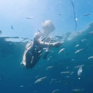 Alara Bozbey Instagram - Bütün balıklar toplandık 🐬💙ben onları peynir onlar da beni sevgileri ile beslediler 💙#çanakkale 💙