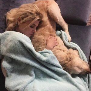 Alara Bozbey Instagram - Aris bugün beni uyandırmaya gelmedi... Gözümü açtığımda yatağımın bir köşesine
yaslanmış sarı bir kafa,boncuk boncuk pati sesi
ve sallanan kuyruk yoktu...
Aris melek oldu çünkü..
Birbirimize çok güzel bir 11 yıl yaşattık... O gitti,anılar kaldı...
Herkes onu çok sevdi,
çünkü insan seven bir canlıydı... Aniden gitmesi beni derinden etkiledi,ama olacakların önüne geçemiyorum elbette ki... Arisim melek oldu ... 
20.03.2009 ♾05.04.2020 ...
