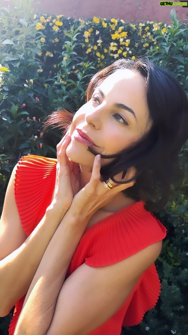 Alejandra Ambrosi Instagram - Diseña una vida que ames ✨