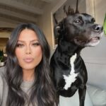 Alex Curry Instagram – A series of #selfies & #puppies 🤗