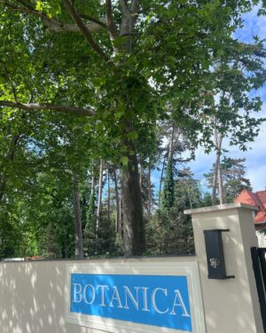 Alexandra Borbély Instagram - #együttműködés| 🌿nyugalom, látni már az ősfákat, kedvesen fogadni, Mandula-szobánk, ketten csak, pihenés, olvasni 4 oldalnál többet, sétálni, sétálunk, nyugágyakra lecsücsülünk, a nap süt, csendben egymás szemébe nézni, szauna melege, kávék illata, vízi kefir, tonik helyett, Munk gasztronómiája miatt, hedonistának bizonyulni, beszélni, megbeszélni, örülni, koccintani, bort kortyolni, félig teli a pohár, dudorászni, békésnek lenni, csönd, béke, béke csöndje, kedvesektől elköszönni, gyakran visszatérni

@botanica_danszentmiklos