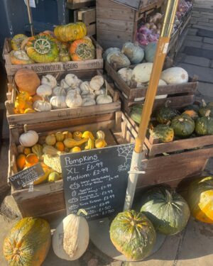 Alexandra Mardell Instagram - Autumn fun ☕️🍁☀️🎃🎤🤎🍷