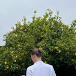 Alexandra Beaton Instagram - When life gives you lemons, a series 🍋