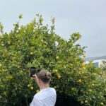 Alexandra Beaton Instagram - When life gives you lemons, a series 🍋