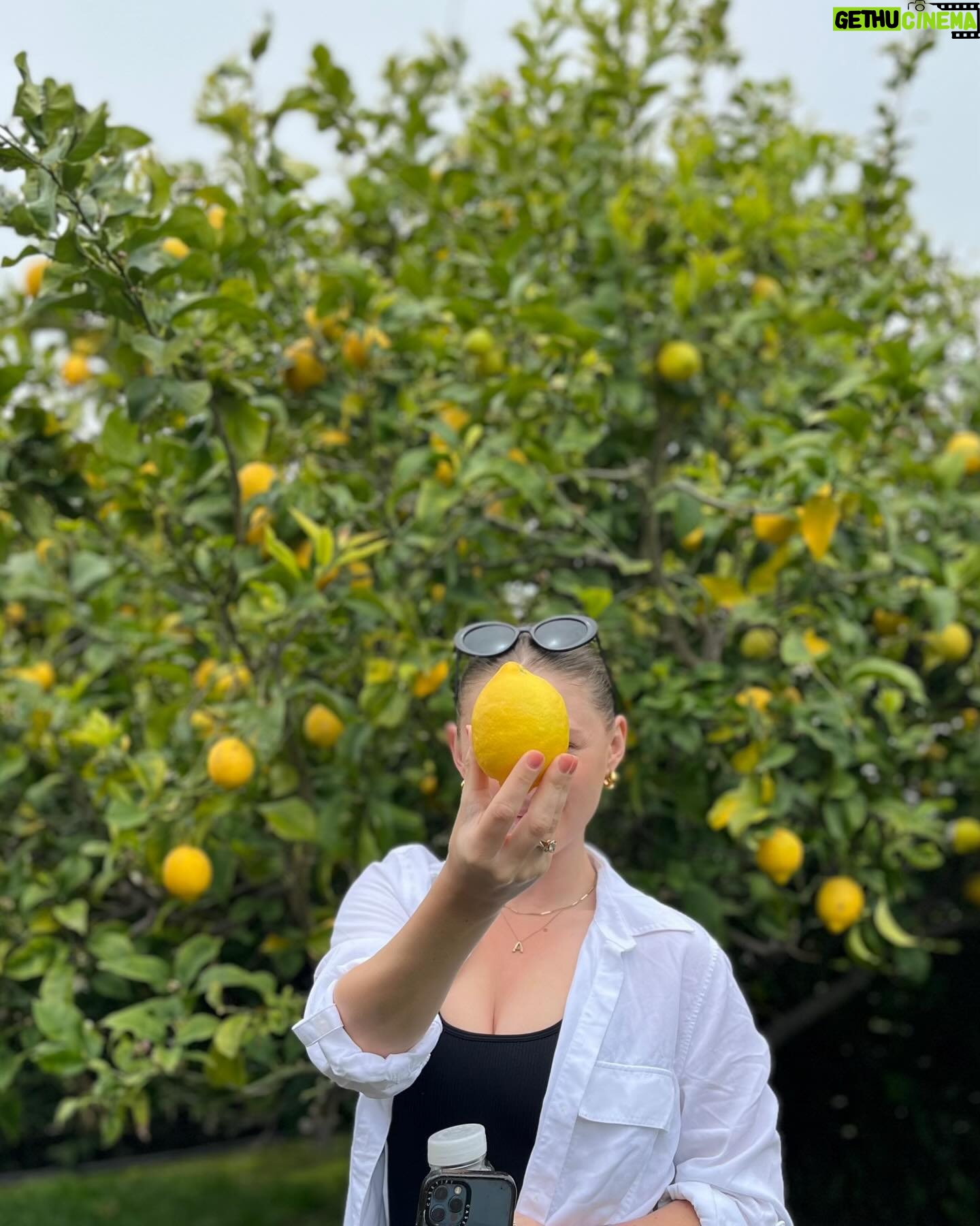 Alexandra Beaton Instagram - When life gives you lemons, a series 🍋