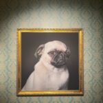 Alexandra Beaton Instagram – brief recollections