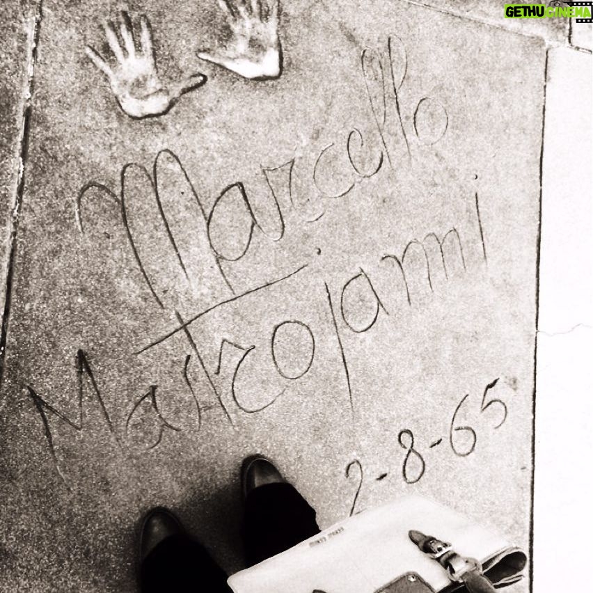 Alexandra Dinu Instagram - A piece of Italy in #Hollywood - Yesterday,Today and Tomorrow. The flavor of #ladolcevita in the City of (FALLEN) Angels. #MarcelloMastroianni #throwbackthursday #italiancinema #60s #threelivesandonlyonedeath