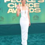 Alexandra Shipp Instagram - the people have spoken 🖤 @peopleschoice 💄 @cherishbrookehill 💇🏽‍♀️ @larryjarahsims 👗 @mandelkorn X @monotofficial 💎 @jenmeyerjewelry X @danarebecca