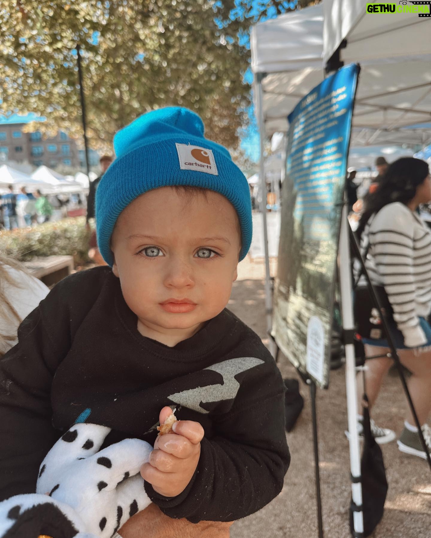 Alexandria DeBerry Instagram - did this weekend force me to order a toddler leash? the learning to walk stage is shortly followed by the “wanting to dart into the street” stage.. 😝 you can count on beaux to put the ‘rowdy’ in @rowdysprout ⚡️🛹 🤘🏼 💙