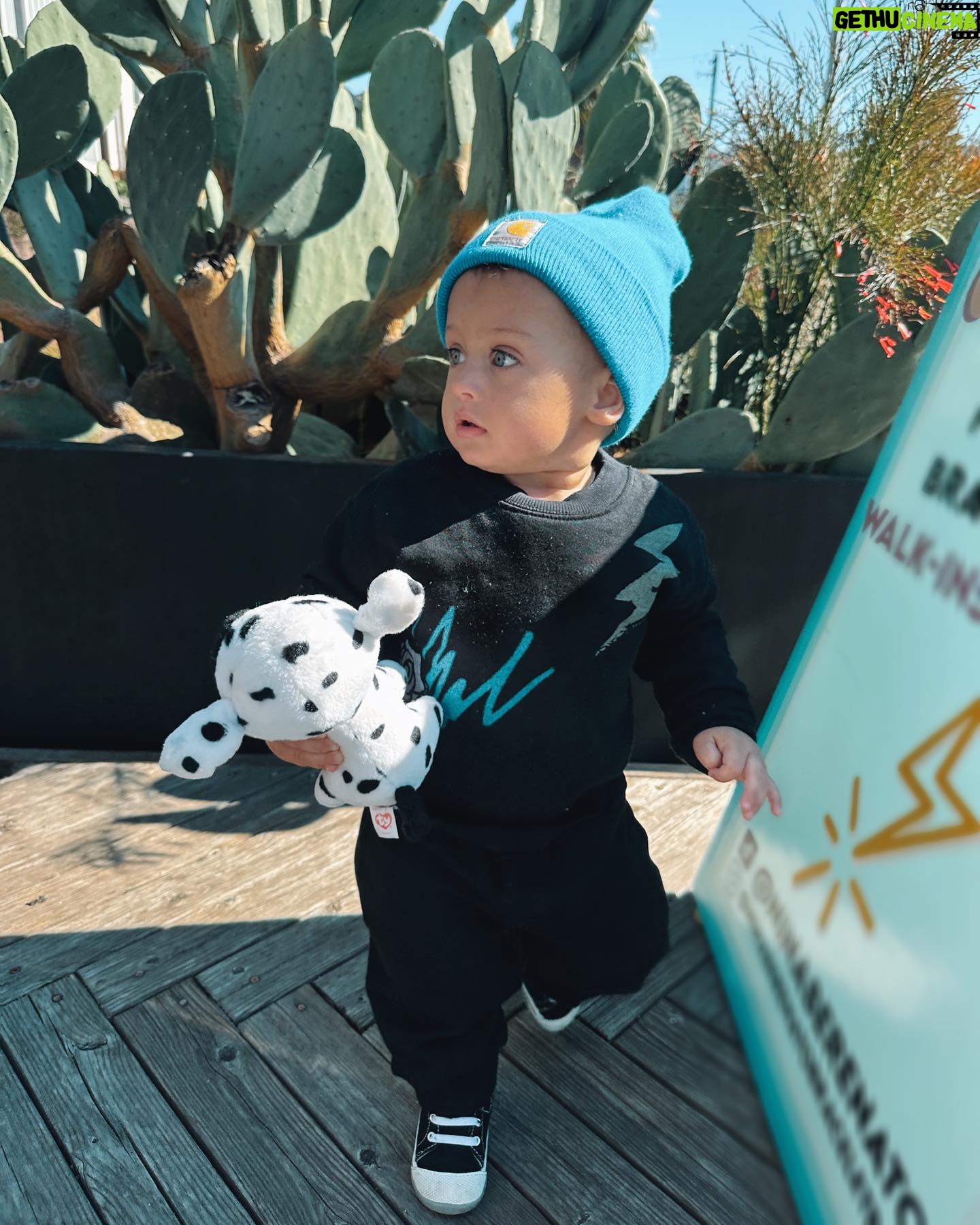 Alexandria DeBerry Instagram - did this weekend force me to order a toddler leash? the learning to walk stage is shortly followed by the “wanting to dart into the street” stage.. 😝 you can count on beaux to put the ‘rowdy’ in @rowdysprout ⚡️🛹 🤘🏼 💙