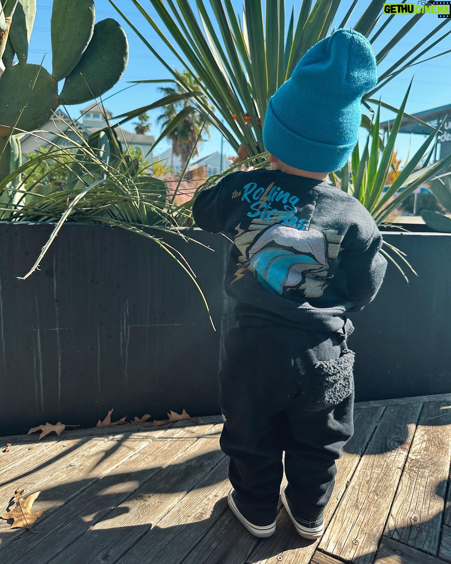 Alexandria DeBerry Instagram - did this weekend force me to order a toddler leash? the learning to walk stage is shortly followed by the “wanting to dart into the street” stage.. 😝 you can count on beaux to put the ‘rowdy’ in @rowdysprout ⚡️🛹 🤘🏼 💙