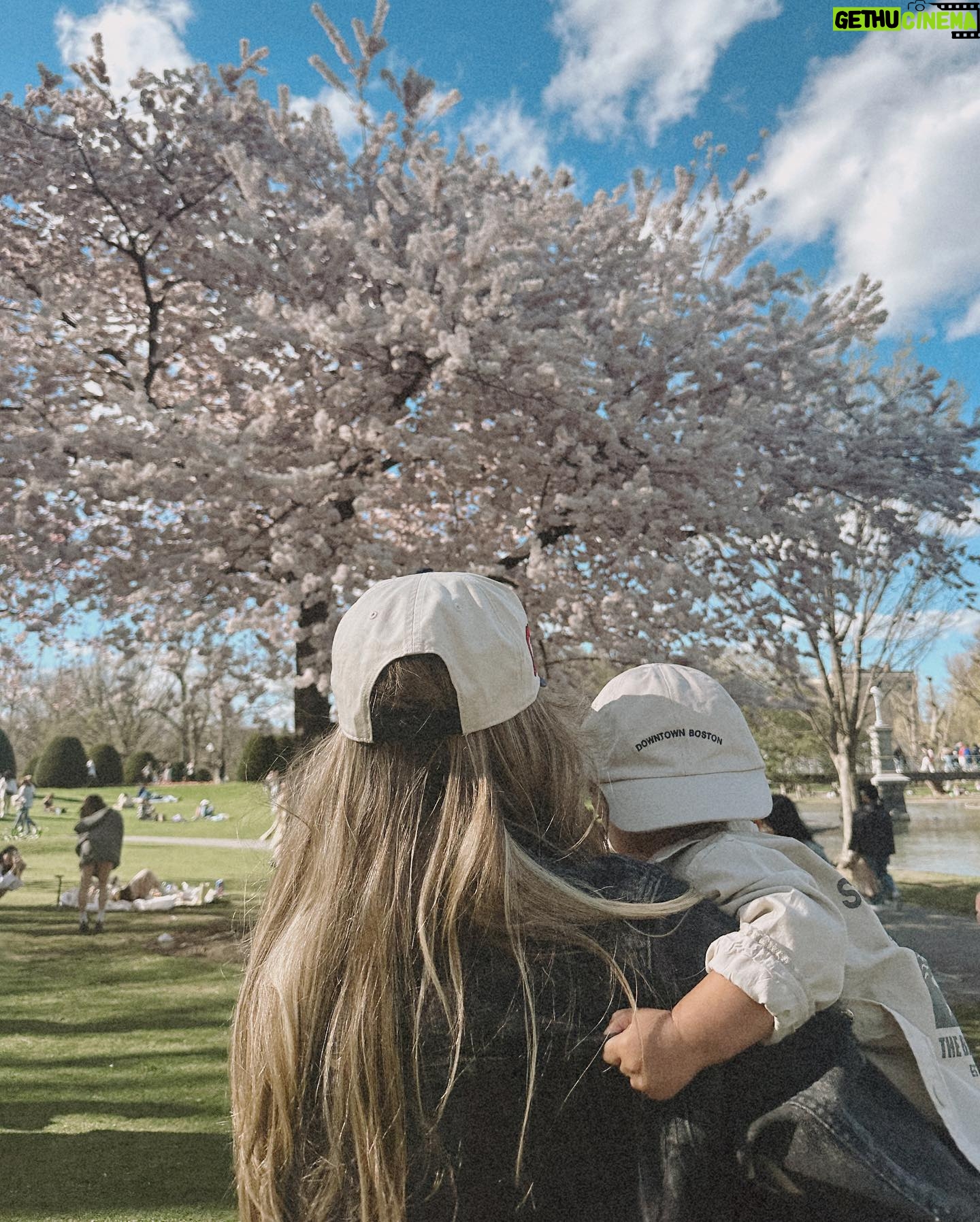 Alexandria DeBerry Instagram - Boston in the spring might be even more magical than the fall 🫶🏼🌸🌤️