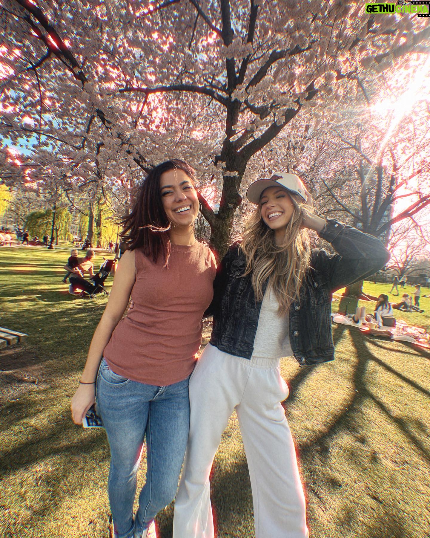 Alexandria DeBerry Instagram - Boston in the spring might be even more magical than the fall 🫶🏼🌸🌤️