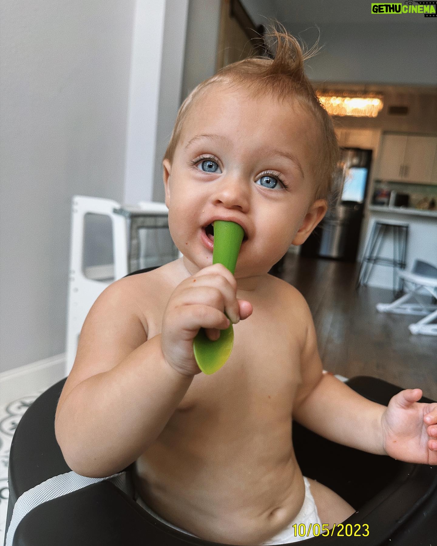 Alexandria DeBerry Instagram - I may be out of monthly milestone pennants, but there’s no shortage of beaux beede photos 🧡 13 months old today taking his 7th plane ride ✈️ thankfully it’s only a fraction as far as Japan 🥴off to Boston to see some fall foliage fam!! #beauxdiesel #babybeede2022 #13monthsold