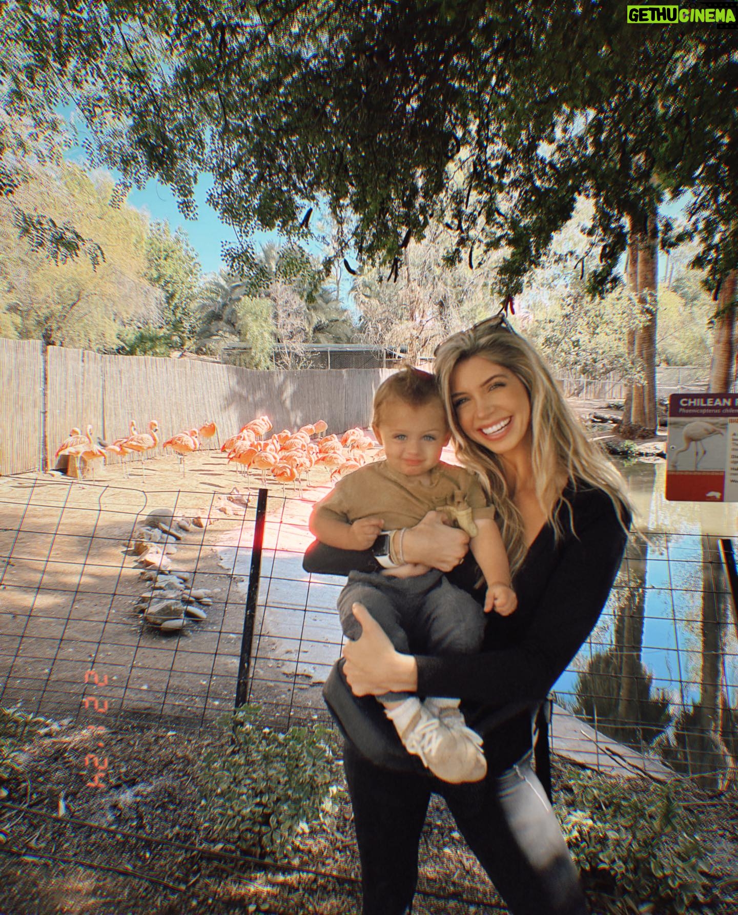 Alexandria DeBerry Instagram - a fun-filled February 🌵💓🌷☀️