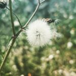 Algı Eke Instagram - 🤎 #thingsmakemehappy #selfcare