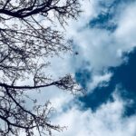 Algı Eke Instagram - Neyi seversen o olursun🩵 #skyscape #love