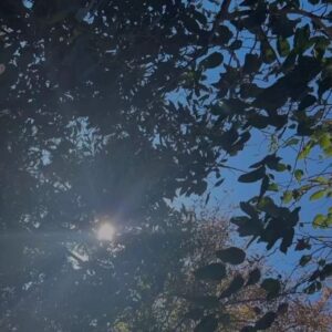Algı Eke Instagram - Eylül🍂 #september #allinthedetails