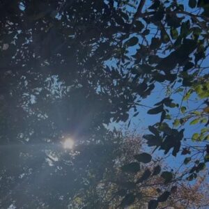 Algı Eke Instagram - Ekim🍂 #october #memories