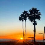 Ali Larter Instagram – A sunset is the sun’s fiery kiss to the night. 😎✨😘
