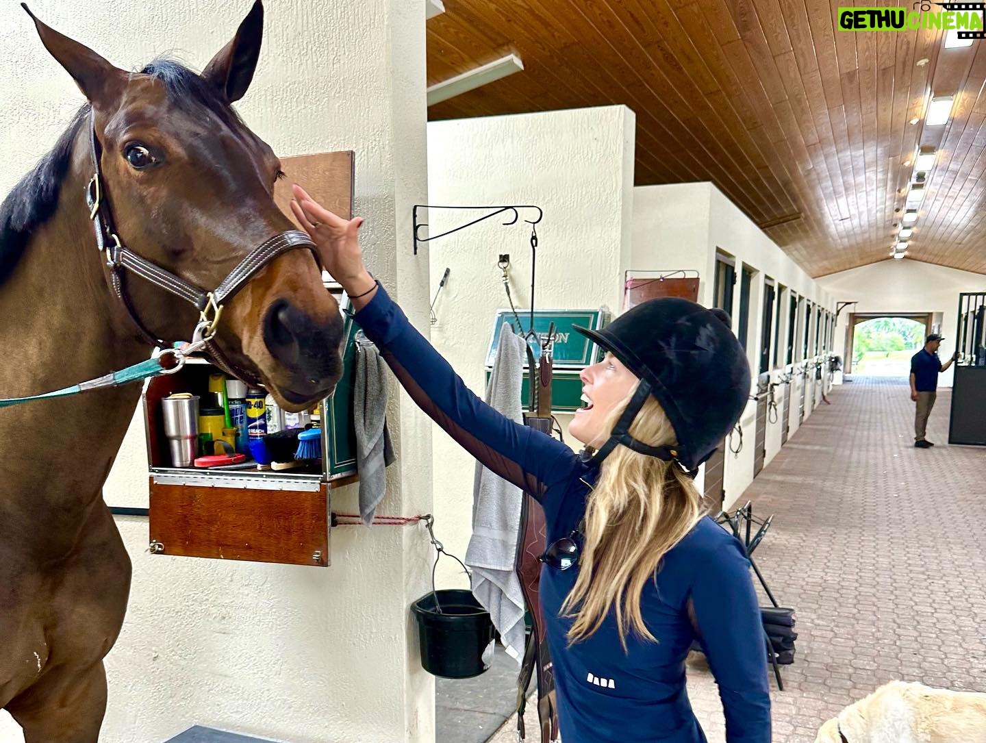 Ali Larter Instagram - Morning jaunt with Floski, Carlos, and Bubbles! 🐴❤️🐴