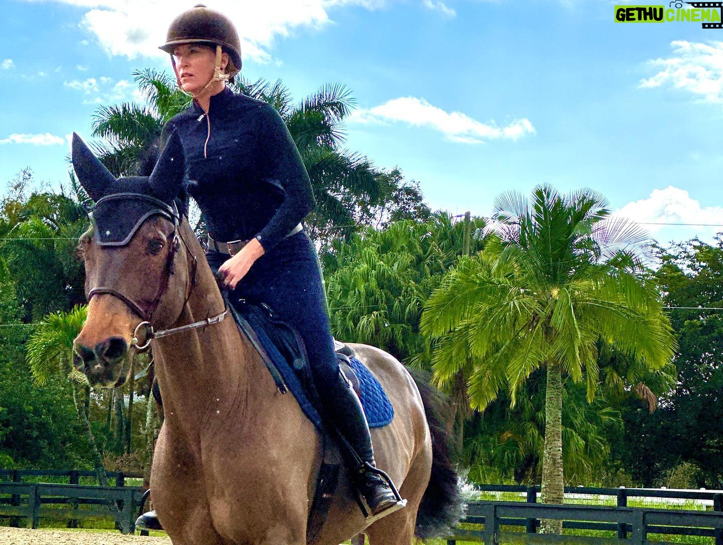 Ali Larter Instagram - Morning jaunt with Floski, Carlos, and Bubbles! 🐴❤️🐴