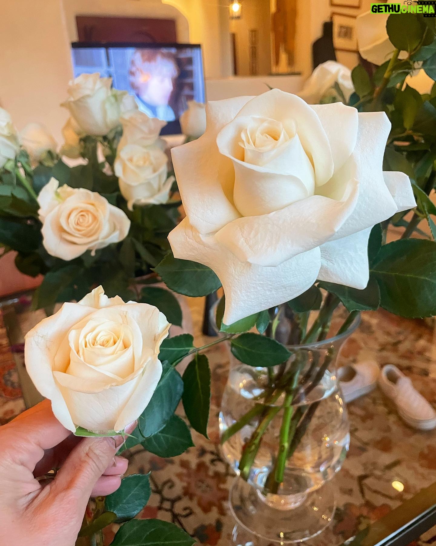 Ali Larter Instagram - Flower hack for my Forever Gold wine party! This is how I take affordable roses from my grocery store and turn them into @ericbuterbaugh inspired flower bombs. You just gently bend back the petals, being careful not to tear them. Follow the roses natural composition. ✨😘✨