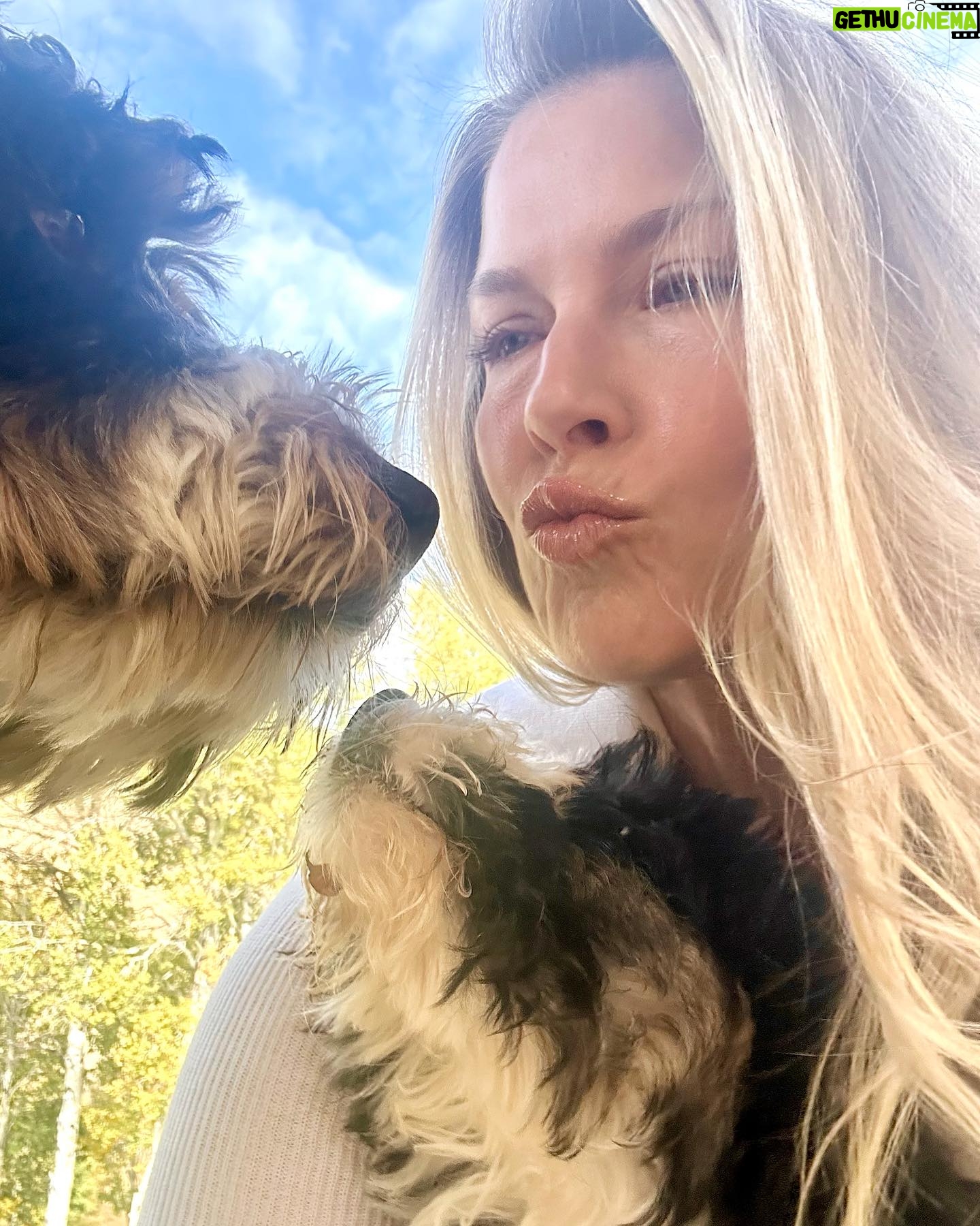 Ali Larter Instagram - Welcome home, Bootsy! One look at those feet and we thought she was already wearing her winter snow boots so… Bootsy it is, Betty Boop to me, and Booty to Vivienne. Hahaha- In a family with all Chiefs and no Braves, it took us a few days to figure out your name. One needed it to be funny, another cute, one wanted it named after candy, and the other for it to be deep. Who do you think won? No joke that puppies take a lot of time and patience, but they truly soften your heart. She is so playful and silly. Our hearts are full, sweet pea. ❤️🐶 ❤️