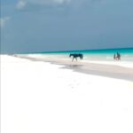 Ali Larter Instagram – ☀️🇧🇸☀️🌊☀️