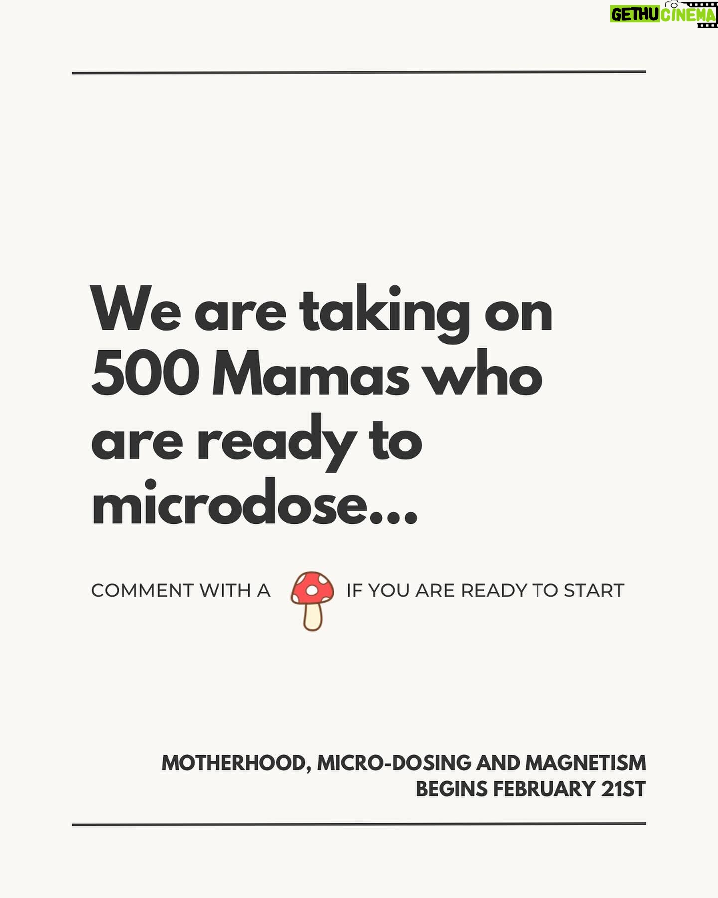 Ali Tate Cutler Instagram - Comment with a 🍄 if you’re a Mama and ready to microdose in a badass, international container with dozens of other Mamas… This program with @momsonmushroomsofficial begins February 21st, and we’re going deep in the work to open the throat chakra. Let’s connect all the Mamas to the mycelial network.