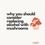 Ali Tate Cutler Instagram - Comment with a 🍄 if you’re a Mama and ready to microdose in a badass, international container with dozens of other Mamas… This program with @momsonmushroomsofficial begins February 21st, and we’re going deep in the work to open the throat chakra. Let’s connect all the Mamas to the mycelial network.