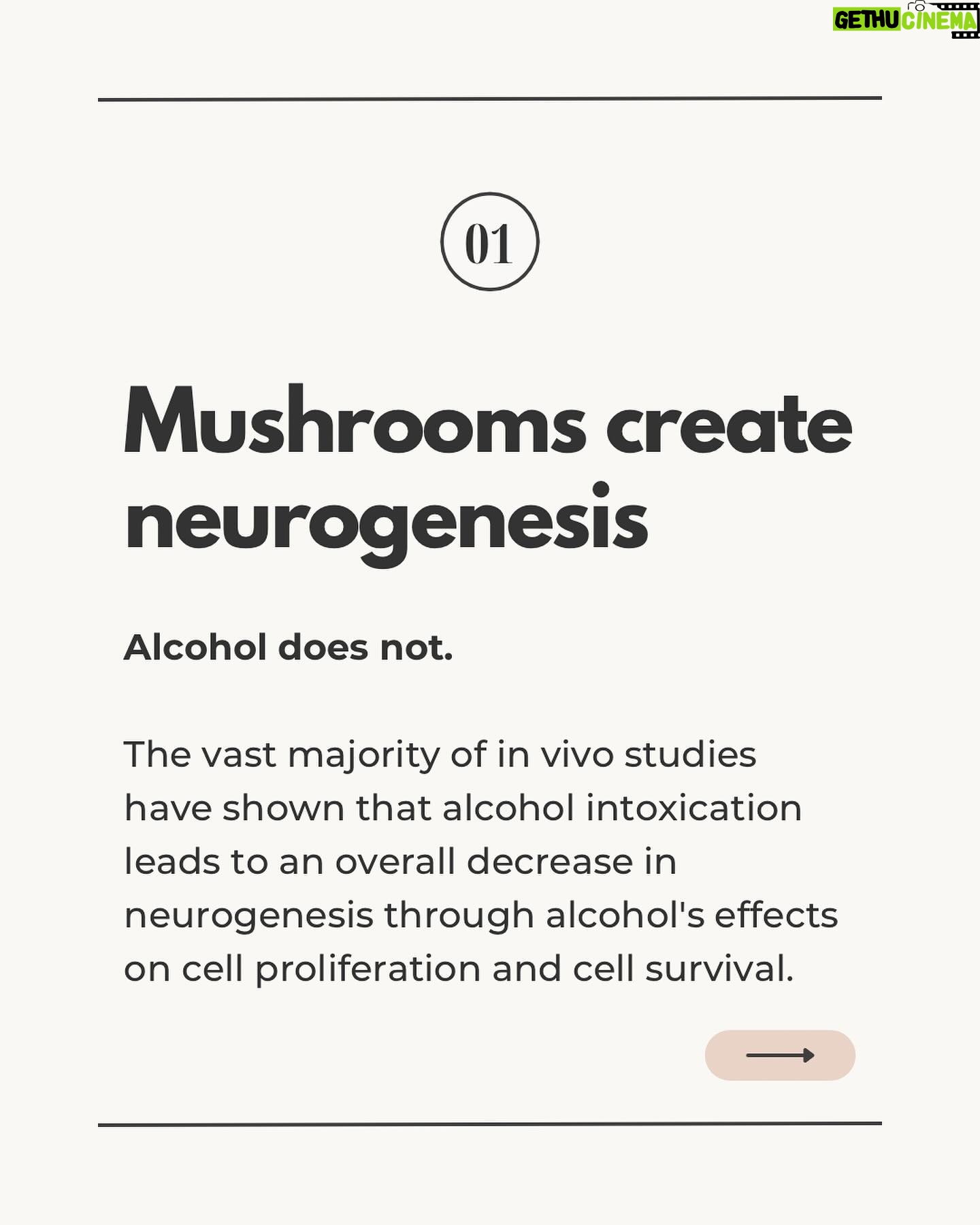 Ali Tate Cutler Instagram - Comment with a 🍄 if you’re a Mama and ready to microdose in a badass, international container with dozens of other Mamas… This program with @momsonmushroomsofficial begins February 21st, and we’re going deep in the work to open the throat chakra. Let’s connect all the Mamas to the mycelial network.