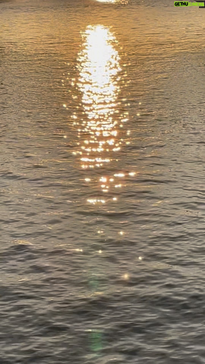 Alia Chergui Instagram - Ce couché de soleil 💛