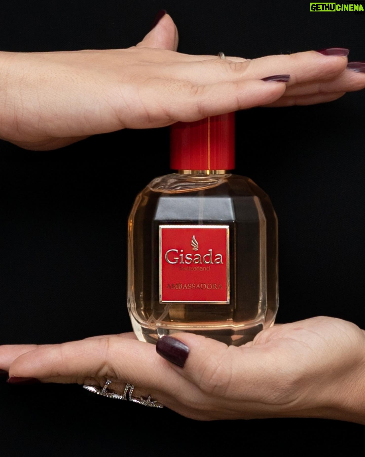 Alia Chergui Instagram - Éveillez vos sens avec l’essence intemporelle de @gisadaofficial , une symphonie olfactive captivante qui transcende l’élégance. L’art de la séduction, encapsulé dans chaque goutte. #gisada #fragrance Collaboration DA @focalisations