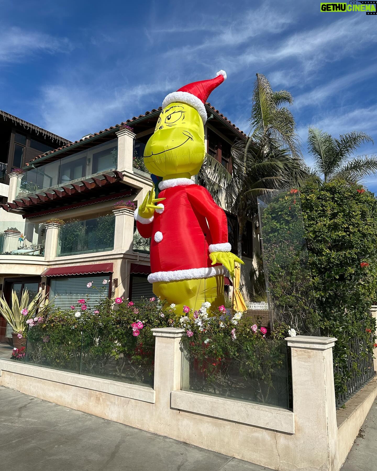 Alice Evans - 2.1K Likes - I saw this whilst on a trip to Manhattan Beach and couldn’t wait to show my kids the photos.
As soon as I saw them I said ‘omg guys you’ll never guess what I saw at the beach! A gigantic Elf On The Shelf!!!’
They have not stopped laughing at me. (Face palm) 😂
#thegrinch
