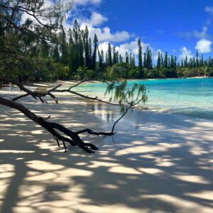 Alice Taglioni Instagram - #paradise