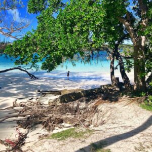 Alice Taglioni Instagram - #paradise