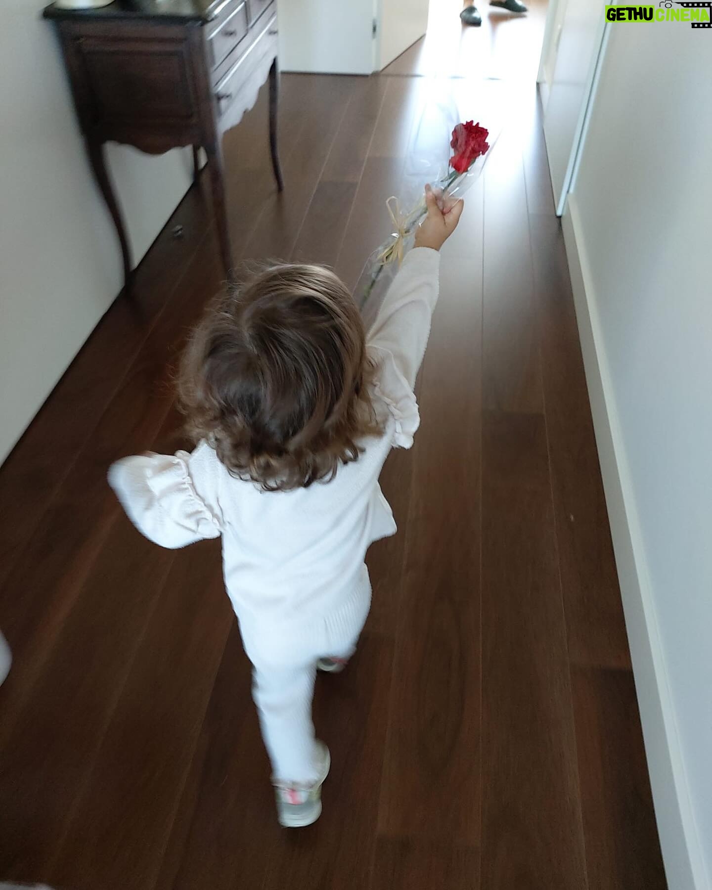 Alice Alves Instagram - “Que nunca nos esqueçamos do valor da liberdade” ❤️ A Benedita hoje foi comprar 2 cravos para oferecer à avó e ao avô. Andava feliz pela rua com os cravos na mão e um senhor, já de uma certa idade, olhava encantado para a alegria desta pessoa de meio palmo que erguia os cravos. As lágrimas vieram-lhe aos olhos. Não sei quem era, nem consegui saber porque tive de correr atrás da Benedita. A super avó agradeceu o presente e rematou “que nunca nos esqueçamos do valor da liberdade!” O avô agradeceu e disse: “Vocês nem sabem o que este gesto significa para mim…” Não sabemos mesmo. Ele era militar na altura. Estava de “castigo” no quartel por tentar anteriormente aquilo que há 50 anos se conquistou. Só ele sabe o que viveu e sentiu. Eu sinto um orgulho imenso por termos dado ao mundo o exemplo de uma revolução pacífica feita por uma geração jovem. Com a liberdade vem a responsabilidade... Não nos esqueçamos disso. Houve quem o esquecesse logo após a revolução! Chama-se Celeste Caeiro a jovem que deu os cravos aos militares que estavam na rua ❤️
