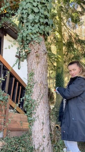 Alice Bendová Instagram - Ano, ráj nemusí být přes oceán 😅. A my s @michal_topol a dětmi jsme si po téměř roce splnili sen o chalupě na pozemku přímo u lesa na vysněném místě 🙏🙏🙏. Se dvěma kočkama 🙏😅😅😅. A byla to cesta trnitá, ale když se chce, všechno jde. Jasně chatka se musí kompletně zrekonstruovat nebo zdemolovat, to je jasné. Pozemek vyčistit, postavit plot, schody, terasu, gril, udírnu. . . vše se musí vybudovat nově🙏. Můj sen jsou kachlová kamna, všude kámen, dřevo. . . Kuchyň chceme vyzděnou s dřevěnými poličkami a dvířky od truhláře. Bude to sice chvilku trvat, ale my se na to taaak těšíme, že začínáme už ode dneška 😅. Takže, přátelé pokud máte jakékoliv tipy na firmy, které dělají dobře a kvalitně, sem s nimi❤️❤️❤️. Tipy na různé chaty, chalupy, doplňky, nábytek, schodiště, zahrady u chat, ploty. . . tak mi sem také napište. Moc děkuji🙏

#chata #chalupa #pozemekulesa #rekonstrukce #demolice #chatarskysen #chalupy #kachlovakamna #kamen #drevo #drevenapodlaha #drevenynabytek #starozitnosti #dobovynabytek #les #sen #splnenysen #cestabyladlouha